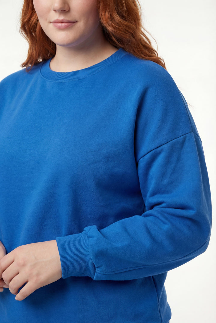 Kadın Büyük Beden Basıc Şardonlu Mavi Sweatshirt
